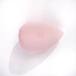 Complexion Sponge