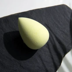 Complexion Sponge