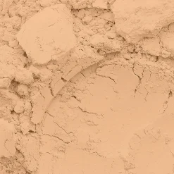 Conceal + Perfect Shine-Proof Powder 04 Natural 12,3g