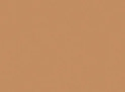 Conceal+ Perfect 2-In-1 Foundation + Concealer Warm Sand 30ml