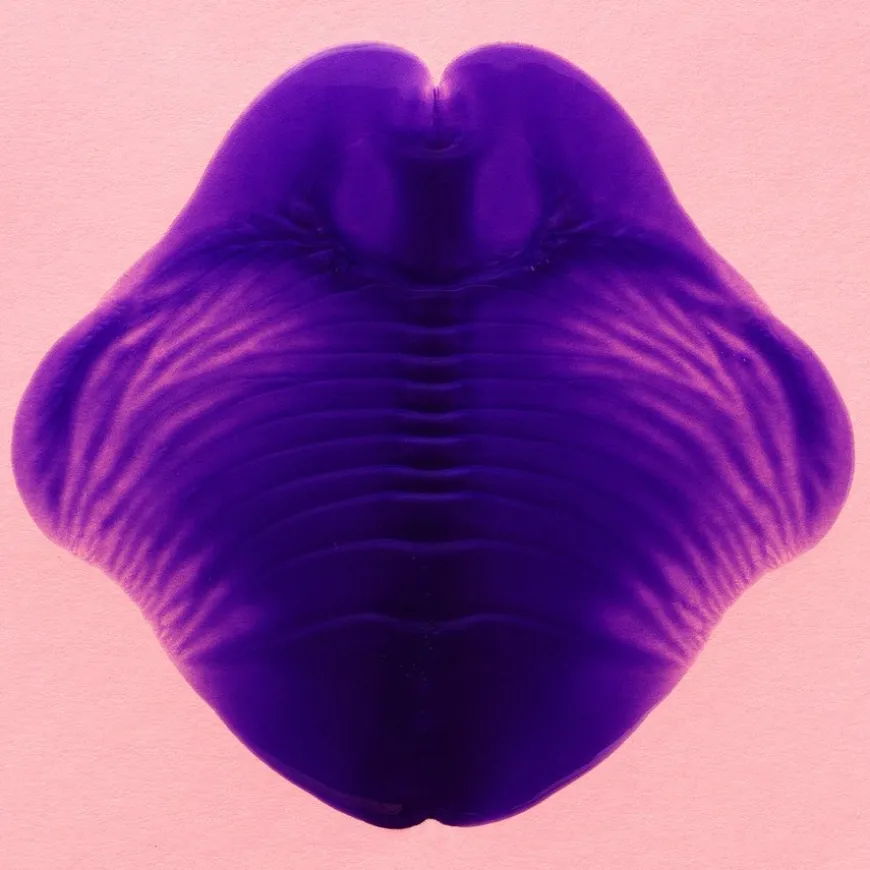 Cool Silver Shampoo 285ml