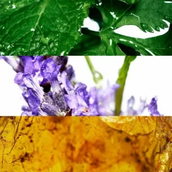 Cool Water Man Deo Stick 70g