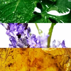 Cool Water Man Eau De Toilette 75ml