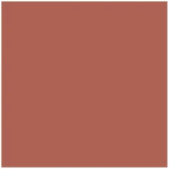 Couture Lipstick Refill 244 Upside Brown 4g