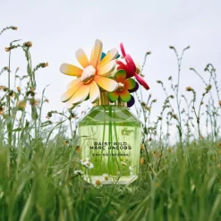 Daisy Wild Eau So Intense Eau De Parfum 100ml