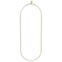 Dakota Small Necklace Plain Gold 45cm