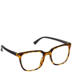 Dante Tokyo Tortoise/Black Strength 2.5
