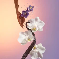 Delicia Drench Body Butter 75ml