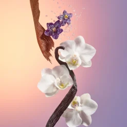 Delicia Drench Shower Oil 385ml