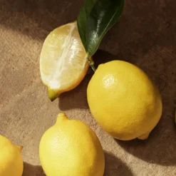 Devotion Pour Homme Eau de Parfum 100ml