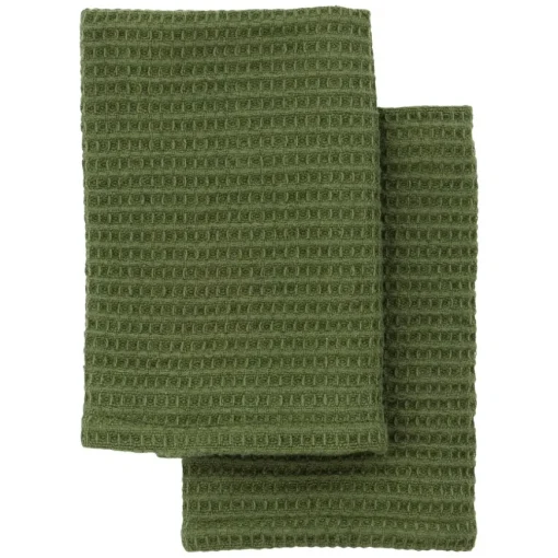 Dish Cloth Green