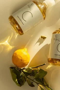 Dish Soap Lemon & Ginger 500ml