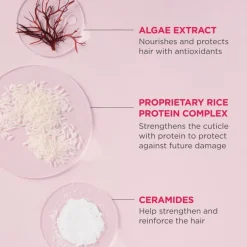 Don't Despair Repair Rich Rice Shampoo Concentrate 90ml