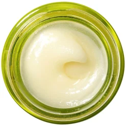 Drink Up Nourishing Avocado Lip Butter 15ml