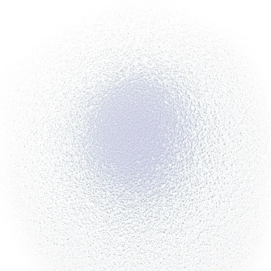 Dry Shampoo Light Tones 65ml