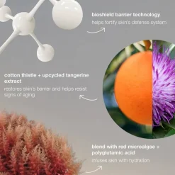 Dynamic Skin Strengthening Serum 30ml