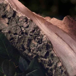 Eau De Parfum Naturelle For Women 50ml