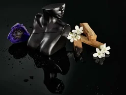 Eilish No.2 Eau De Parfum 50ml