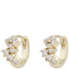 Envy Small Irregular Earring Gold/Clear Onesize