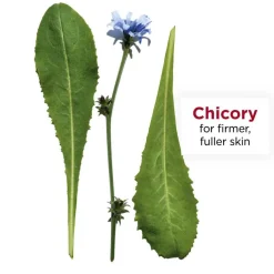 Everlasting Youth Fluid Foundation #110 Honey 30ml