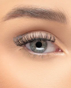 Extension Collection Russian