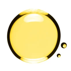 Face Treatment Oil Santal Dry skin 30ml