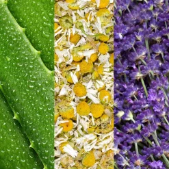 Facial Spray W/ Aloe, Chamomile & Lavender 118ml