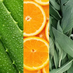 Facial Spray W/ Aloe, Sage & Orange Blossom 118ml