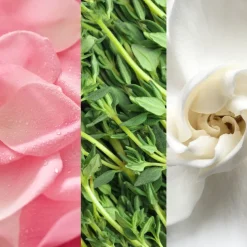 Facial Spray With Aloe, Herbs & Rosewater 118ml