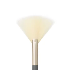 Fan Brush