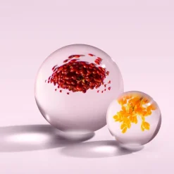 Fiery Pink Pepper Eau de Parfum 100ml