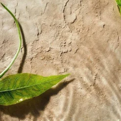 Fresh Aloe Shower Gel 250ml