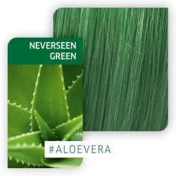 Fresh Create NeverSeen Green 60ml