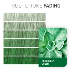 Fresh Create NeverSeen Green 60ml