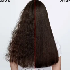 Frizz Dismiss Mask 250ml