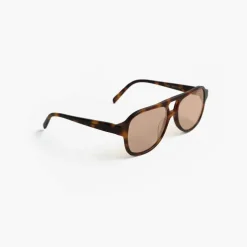 Gelo Tortoise Cinnamon