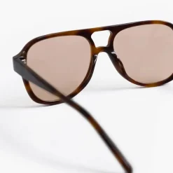 Gelo Tortoise Cinnamon