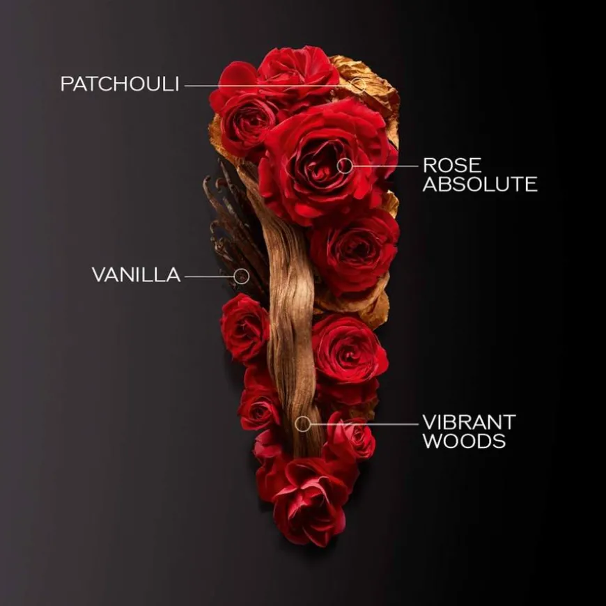 Ginza Eau De Parfum Intense 30ml