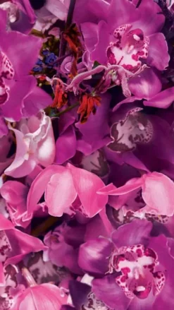 Ginza Murasaki Eau De Parfum 30ml