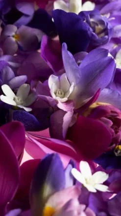 Ginza Murasaki Eau De Parfum 50ml