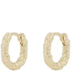Gisele Small Ring Earrings Plain Gold Onesize