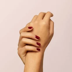 Green Flash Dark Pansy Starter Kit