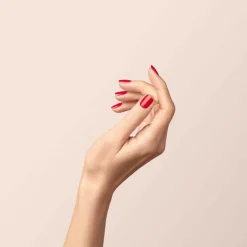 Green Flash Poppy Red Starter Kit