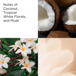 Green Tea Coconut Breeze Eau De Toilette 50ml