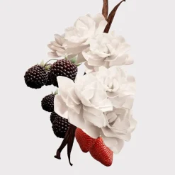 Her Elixir Eau De Parfum 50ml