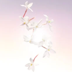 Idôle Eau De Parfum 25ml