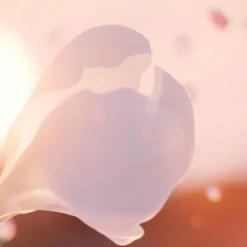 Idôle Now Eau de Parfum 25ml