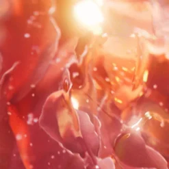 Idôle Now Eau de Parfum 100ml