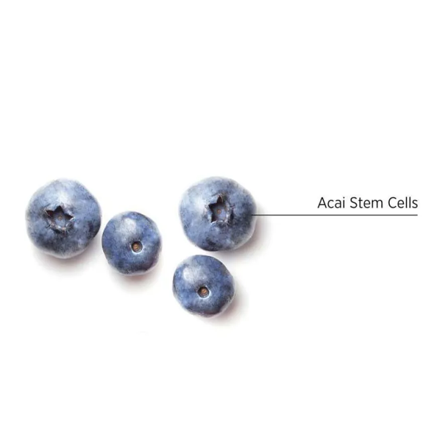 Inessence Conditioner 1000ml