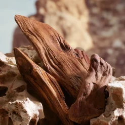 K By Dolce&Gabbana Parfum 50ml